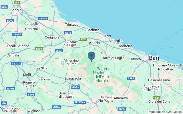 Kaart met locatie Castel del Monte